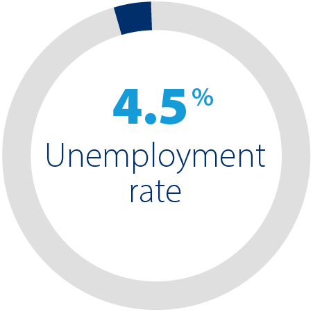ED_Website_Demographics_Graphics_2025_Unemployment_pie